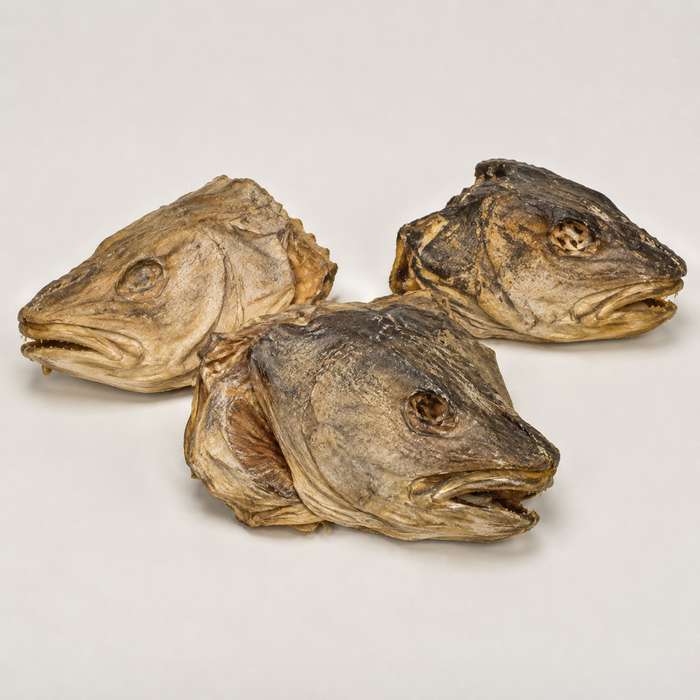 Stockfish Head (per piece)