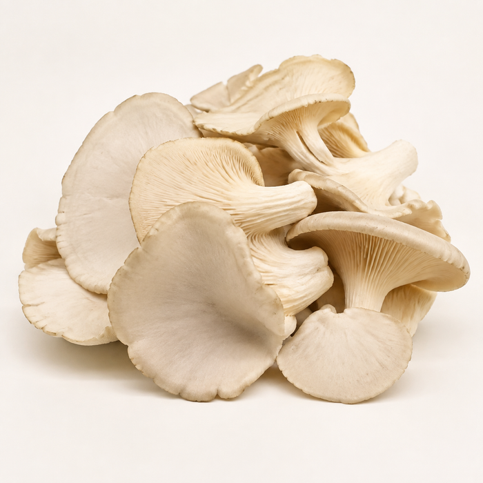 Mushroom (per pack)