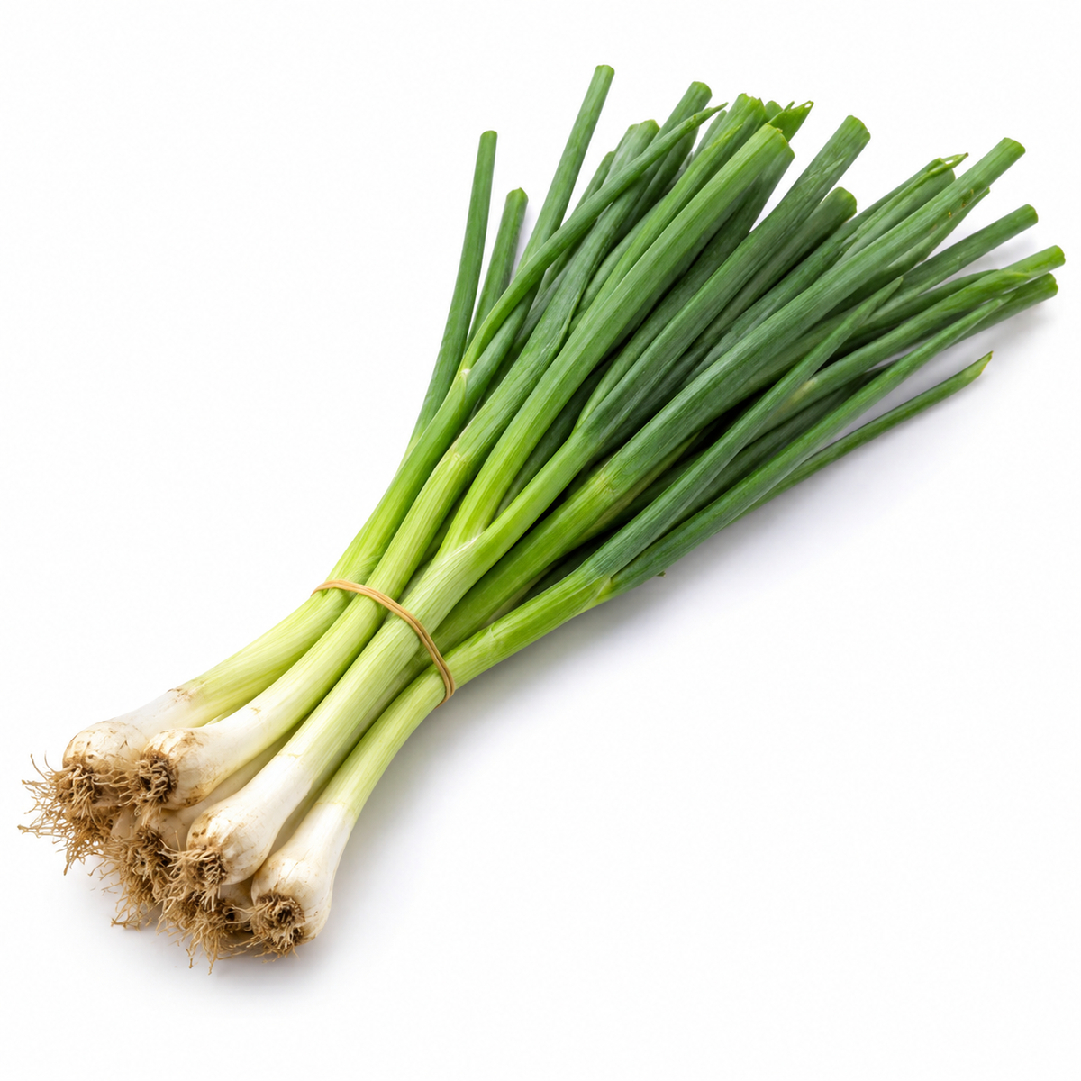 Spring Onions (per bunch)