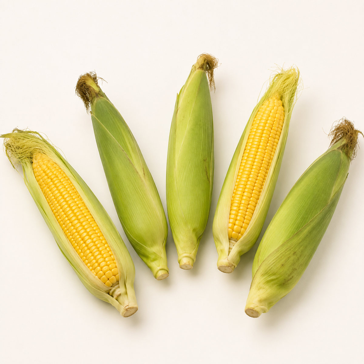 Fresh Corn (5 pieces)