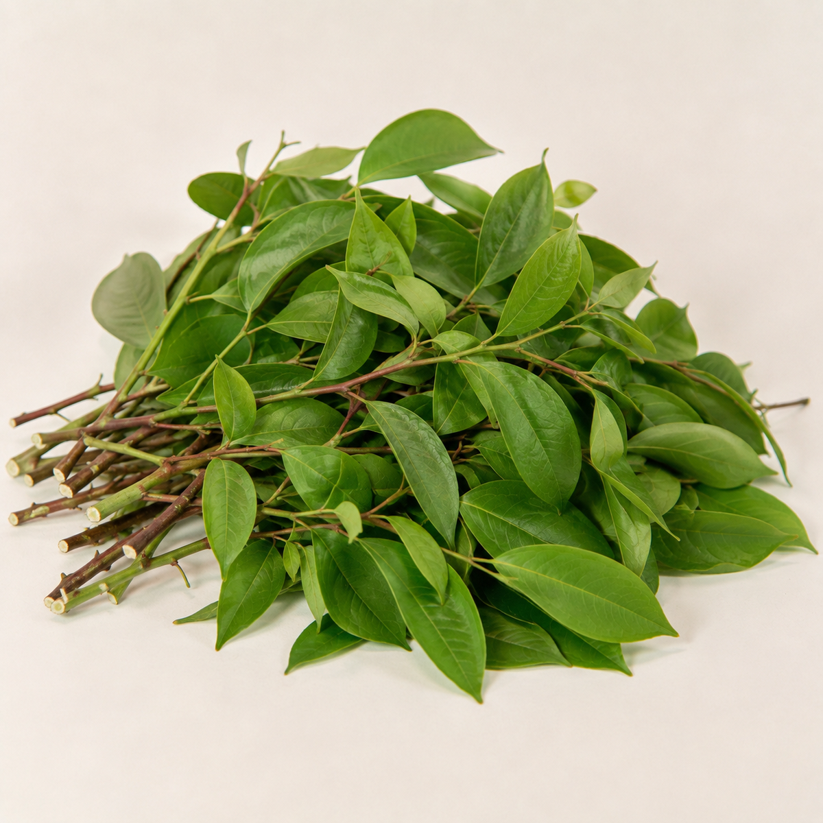 Fresh Oha Leaf (per bunch)