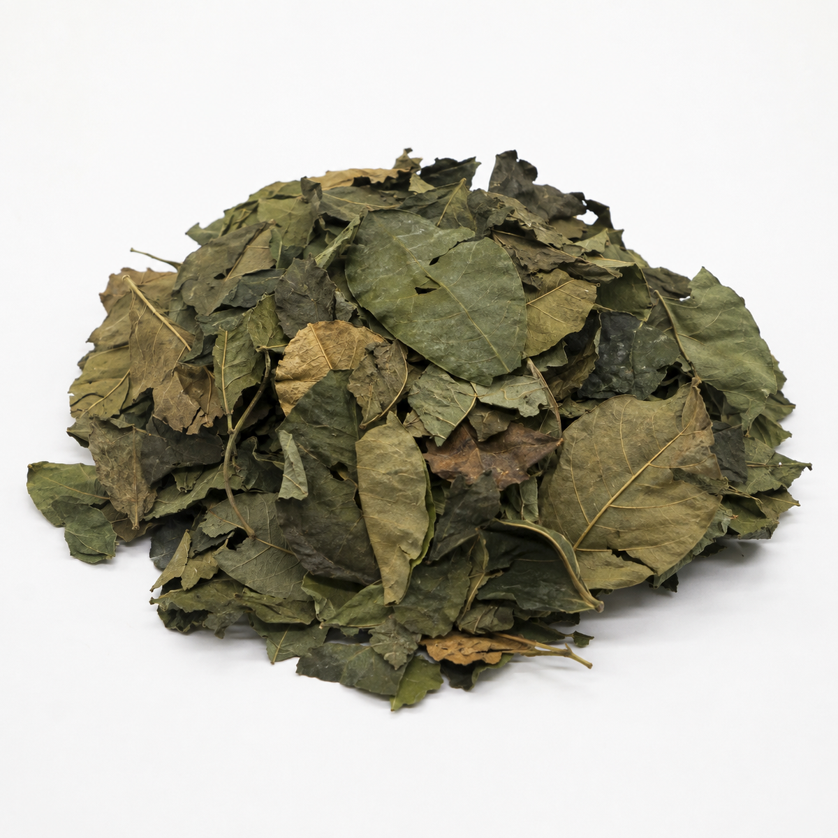 Dried Oha Leaves (per painter)
