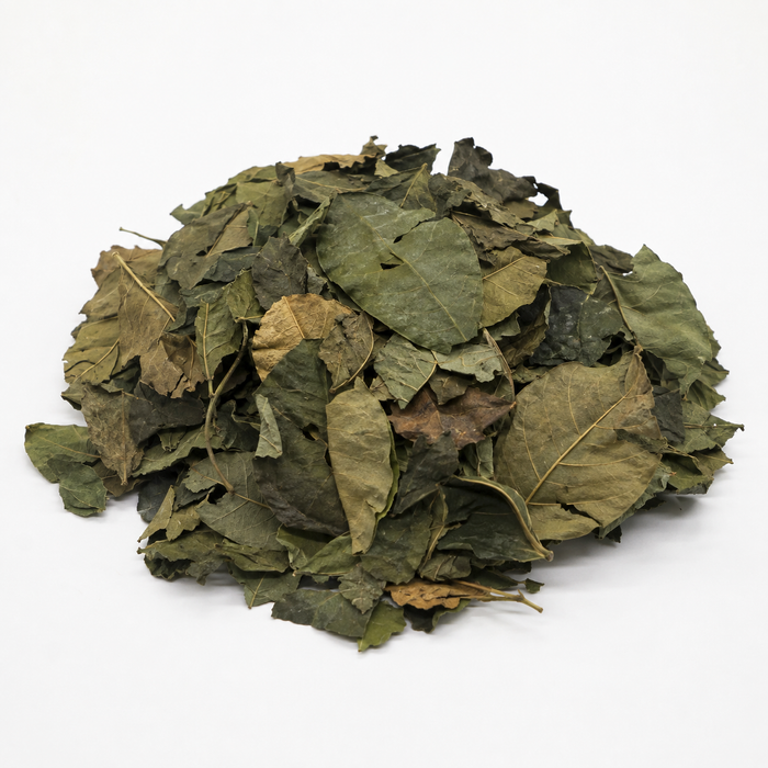 Dried Oha Leaves (per painter)