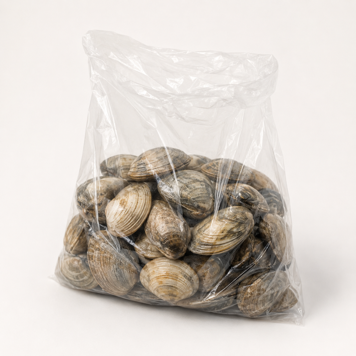 Clams (10-piece pack)