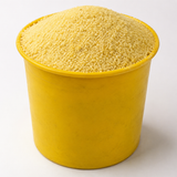 Yellow Garri (Painter/Bag)