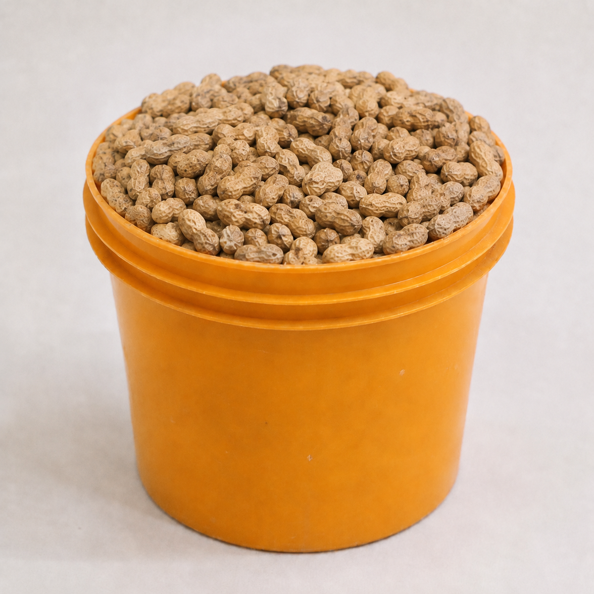 Raw Groundnut (per painter)