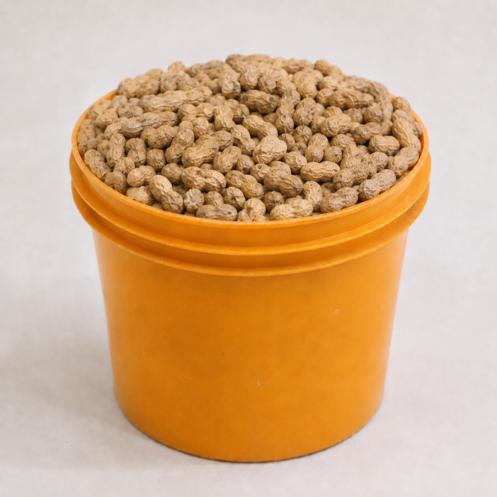 Raw Groundnut (per painter)
