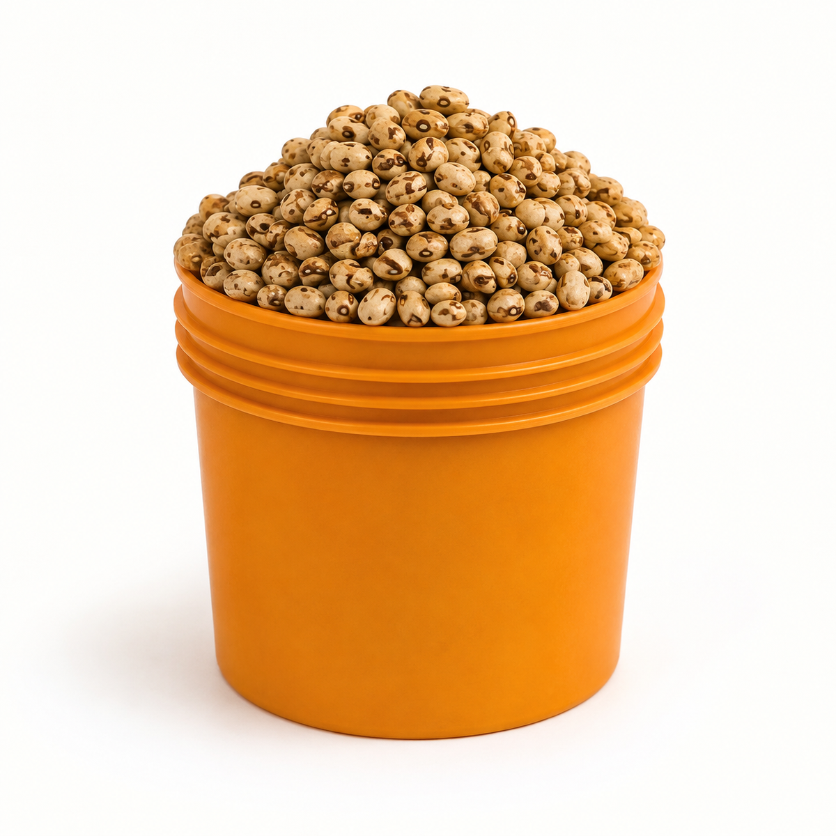 Fio-Fio (Pigeon Peas) (per painter)