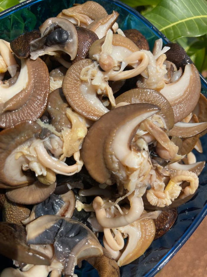Snails (20 pieces)