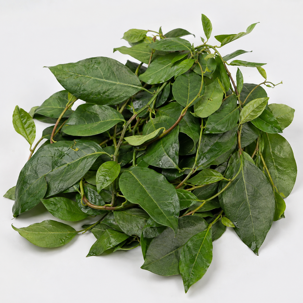 Fresh Okazi Leaves (per pack)