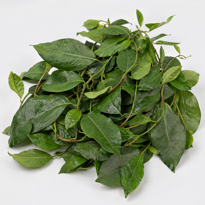 Fresh Okazi Leaves (per pack)