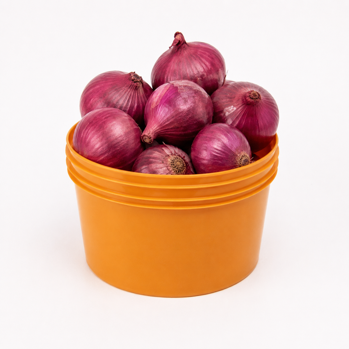 Onion (per painter)