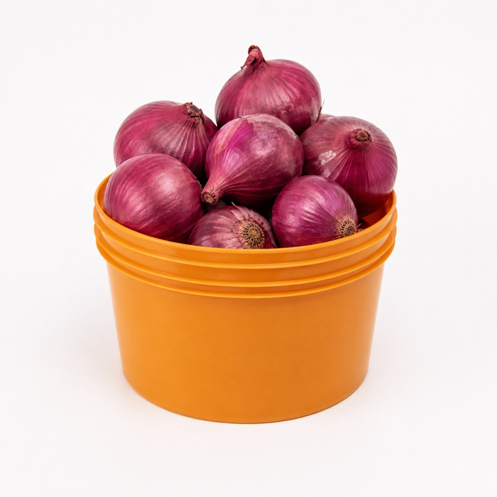 Onion (per painter)