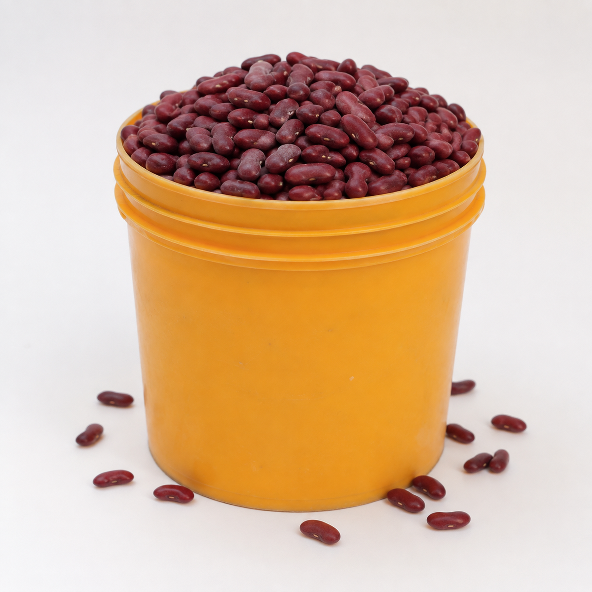 Kidney Beans (per painter)
