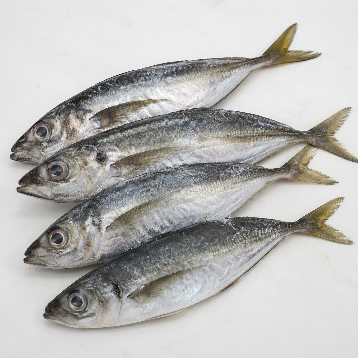 Stavida Fish (per kg)