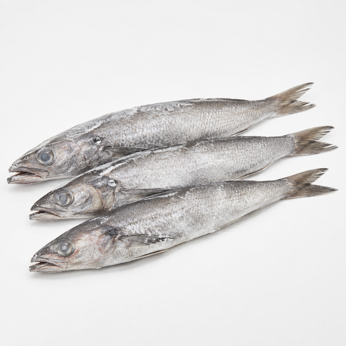 Hake Fish (per kg)