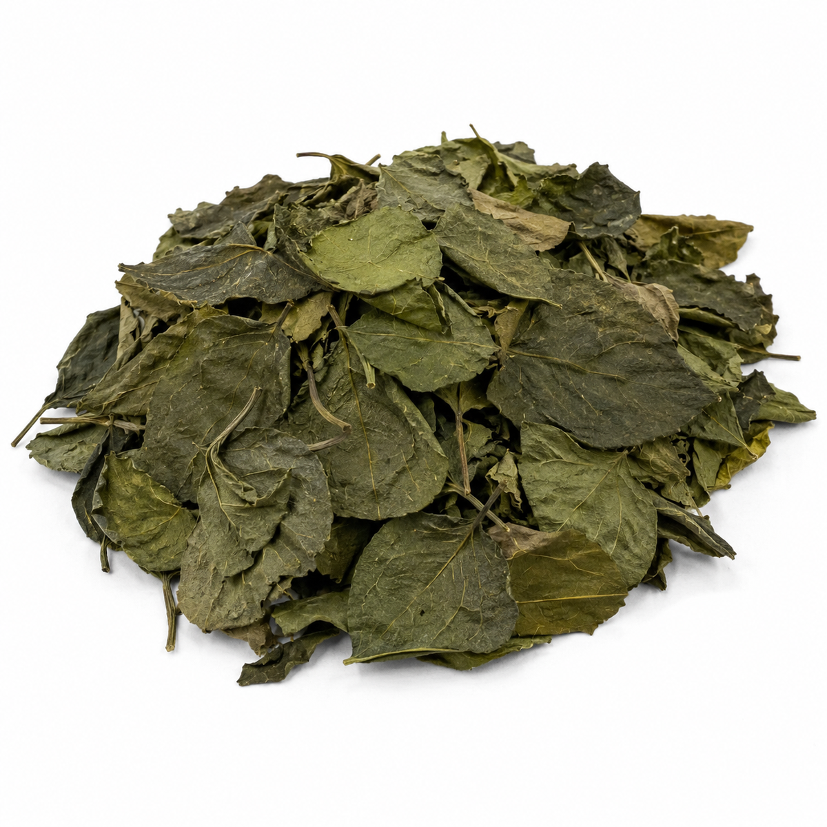 Dried Utazi Leaves (per painter)