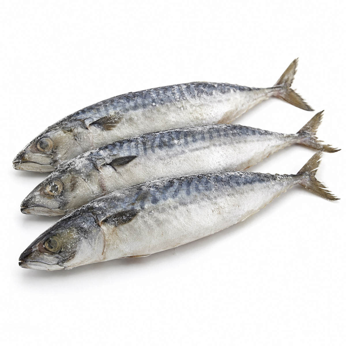 Scumbia Fish (per kg)