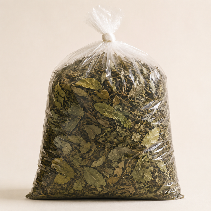 Dried Scent Leaf (per painter)