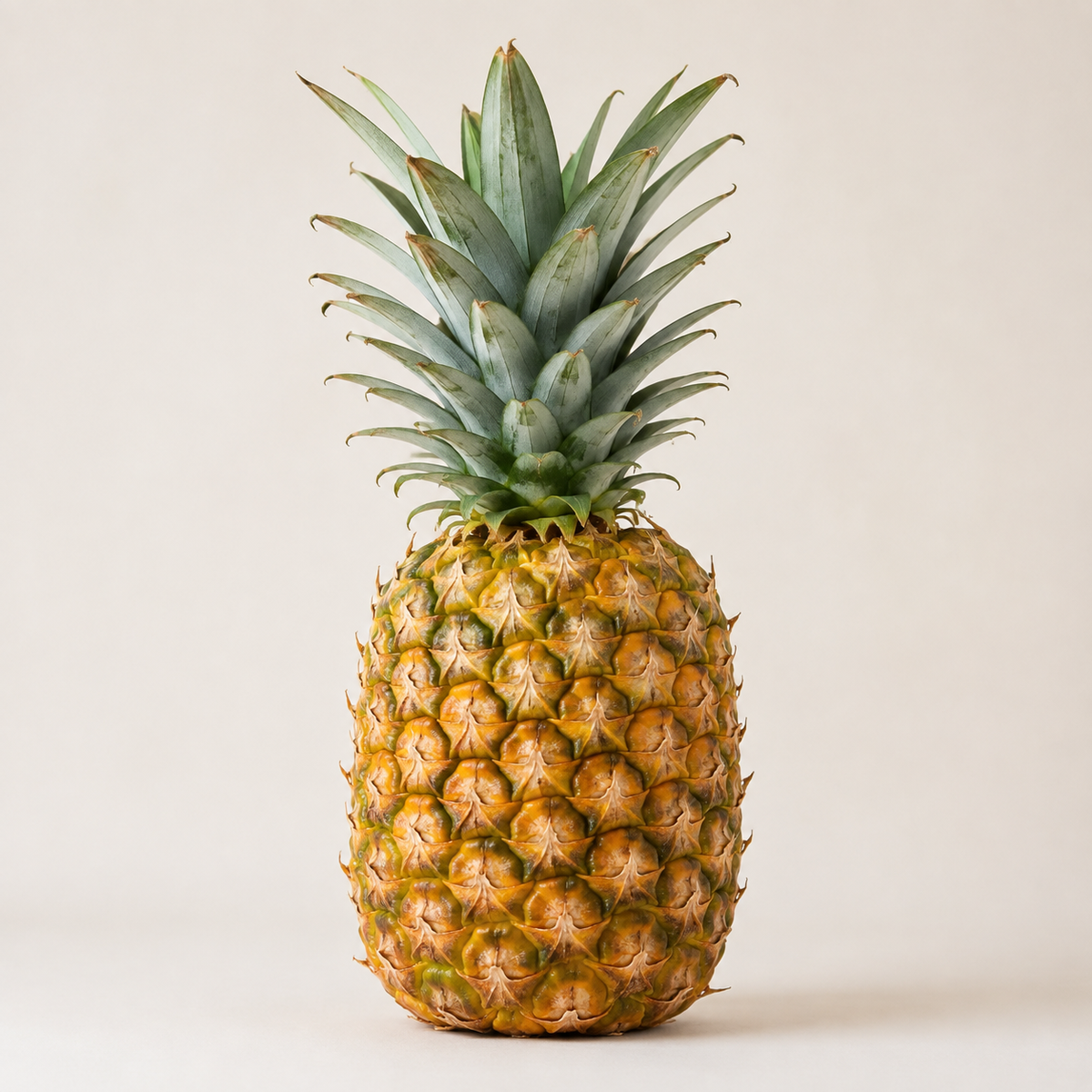 Pineapple (per piece)