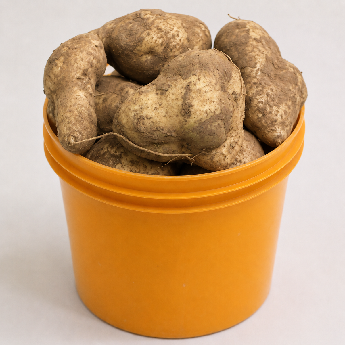 Sweet Potatoes (per painter)