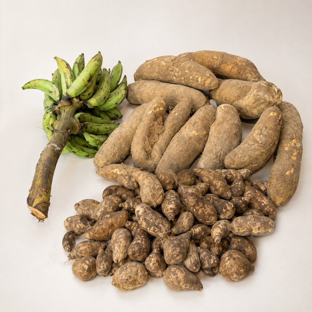 Fresh Farm Harvest Bundle