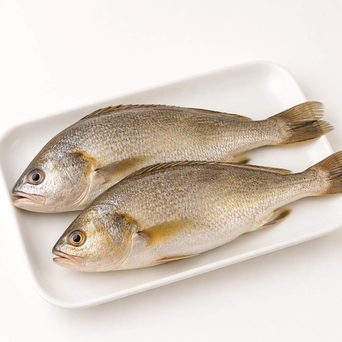 Croaker Fish (per kg)