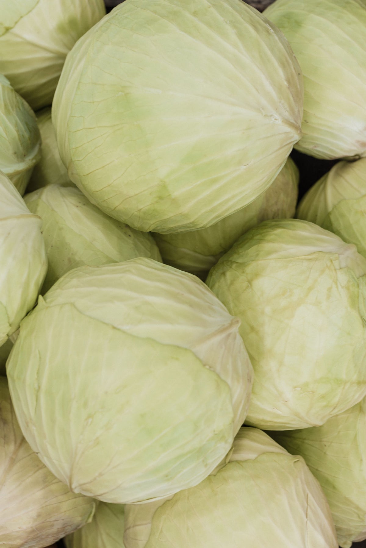 Cabbage (per piece)